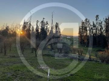 Lotes y Terrenos Melipilla | venta | Parcela en Culiprán – 5.000m² con Luz 105538: CLP 60000. 00