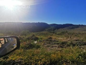 Lotes y Terrenos Nueva Imperial | venta | Campo de 30 hectáreas: CLP 120000. 00