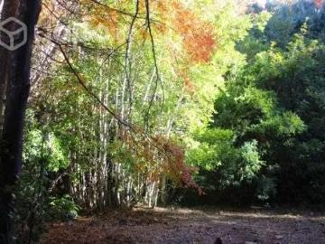 Lotes y Terrenos Nacimiento | venta | Parcela venta: CLP 6500. 00