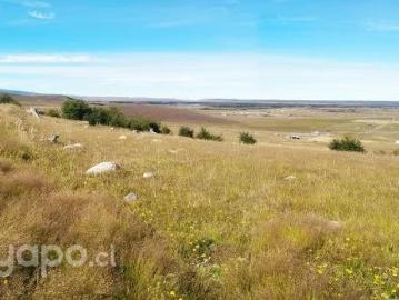 Lotes y terrenos natales | venta | parcelas en dorotea natales: clf 969.00