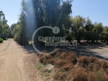 Lotes y Terrenos O'Higgins | venta | Sitio en venta en Machalí: CLF 7500.00