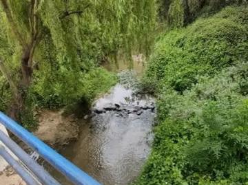 Lotes y terrenos olivar | venta | vendo amplio terreno en quilpue: clp 115000. 00