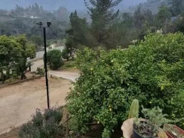 Lotes y Terrenos Olmué | venta | Vendo propiedad con plantación de Frutas: CLP 150000. 00