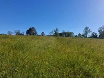 Lotes y Terrenos Osorno | venta | Excelente conectividad y entorno natural 142010: CLP 45000. 00
