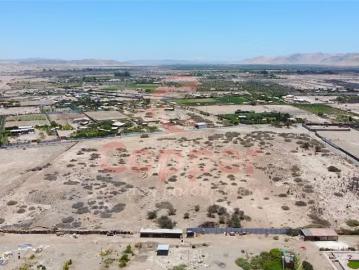 Lotes y Terrenos Copiapó | venta | Agrícola en venta en Copiapó: CLP 49000. 00