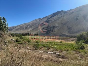 Lotes y Terrenos Alto del Carmen | venta | Se Vende Predio Agrícola con Derechos de Aguas, Transito: CLF 79758.00
