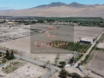Lotes y Terrenos Copiapó | venta | Parcela Agroresindecial, Sector San pedro, Copiapó: CLP 55000. 00