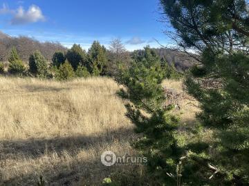 Lotes y Terrenos Aysén | venta | Parcela Condominio Alta Vista Coyhaique Alto: CLF 2300.00