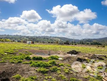 Lotes y Terrenos Algarrobo | venta | Tu Oasis de 5180m2, Totalmente Plano Bosquemar de tunquen: CLF 2280.00