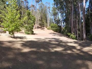 Lotes y Terrenos Algarrobo | venta | Agrícola en venta de 38.415 mts2 en Algarrobo: CLF 9200.00
