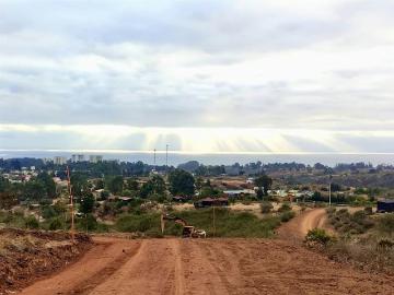 Lotes y Terrenos Algarrobo | venta | PARCELA Algarrobo: CLP 95000. 00