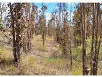 Lotes y terrenos algarrobo | venta | parcela, algarrobo mirasol 160279: clf 5150.00
