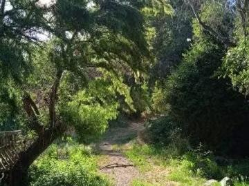 Lotes y Terrenos Alhué | venta | de campo en alhue: CLF 13000.00