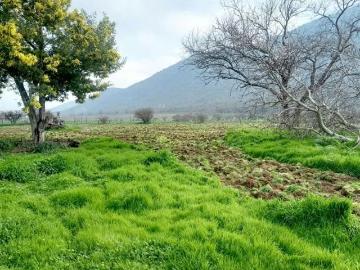 Lotes y Terrenos Alhué | venta | Parcela en venta en Alhué 16.400 mt2: CLP 126376. 00
