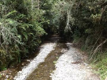 Lotes y Terrenos Ancud | venta | AGRICOLA Localidad de Puntra: CLF 11000.00