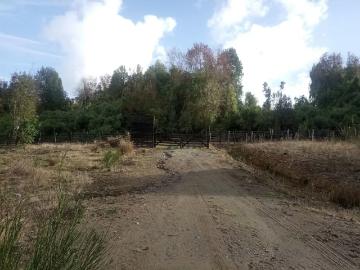 Lotes y Terrenos Ancud | venta | PARCELA Bosques de Coipomo: CLP 15000. 00