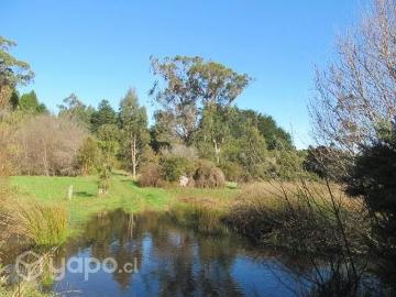 Lotes y Terrenos Ancud | venta | Parcela junto a la Playa en Ancud, Chiloé: CLP 120000. 00
