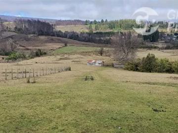 Lotes y Terrenos Araucanía | venta | Sector Santa Julia, a 15 km. De Curacautín: CLP 25000. 00