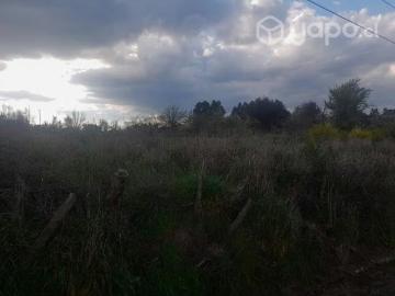 Lotes y Terrenos Bulnes | venta | Propiedad de 30.000 mts orilla carretera: CLP 430000. 00