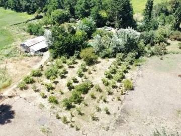 Lotes y Terrenos Los Ángeles | venta | Parcela en venta en Los Angeles: CLP 460000. 00