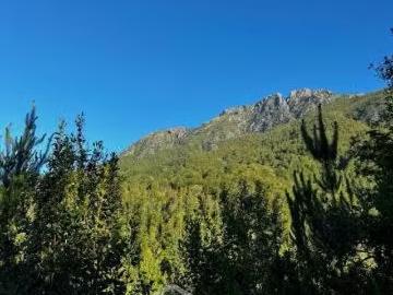 Lotes y Terrenos Cunco | venta | Parcelas a solo 7 km del Lago Colico: CLP 22600. 00