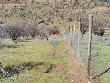 Lotes y Terrenos Curacaví | venta | Espectacular parcela en curacavi: CLF 1500.00