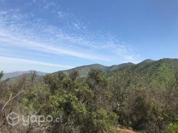 Lotes y Terrenos Curacaví | venta | Parcela Reserva La Aurora, Curacaví, Rm: CLF 2000.00