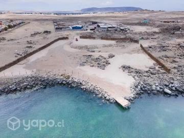 Lotes y Terrenos Caldera | venta | Concesión de Acuicultura a pasos de Bahía Inglesa: CLF 69960.00