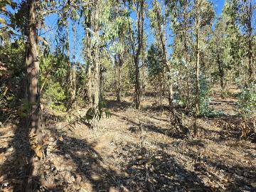 Lotes y Terrenos Casablanca | venta | Maravillosa parcela de 20.000 m2, vista, bosque y a solo 450 metros del pavimento: CLP 72900. 00