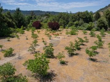 Lotes y Terrenos Casablanca | venta | Parcelas de 5.000 m2: CLF 977.00