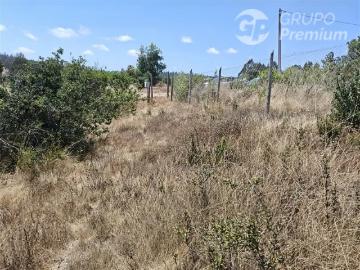 Lotes y Terrenos Cartagena | venta | Sitio en venta en Altos de la Rudilla Cartagena: CLP 29000. 00