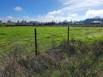 Lotes y Terrenos Chillán | venta | km. 8, Chillán 84038: CLP 35000. 00