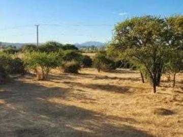 Lotes y Terrenos Chillán | venta | Se Vende Parcela cerca de Chillán 5000 m2: CLP 20000. 00