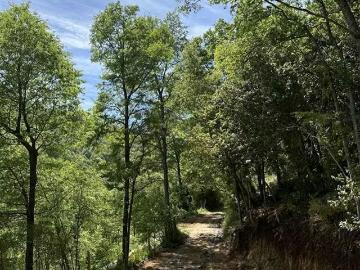 Lotes y Terrenos Chillán | venta | SITIO Sitios Camino Termas de Chillan Km 48 Interior: CLP 9000. 00