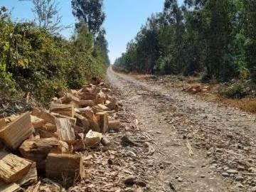 Lotes y Terrenos Chillán | venta | Parcelas oro verde chillan, precio lanza: CLP 18000. 00
