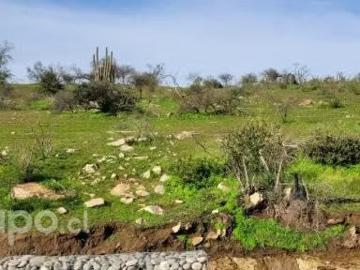 Lotes y Terrenos Coinco | venta | Parcela de Agrado 5000Mts Coinco: CLP 17000. 00
