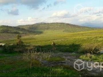 Lotes y Terrenos Coinco | venta | Parcela de Agrado Coinco sector Las Pircas: CLP 150000. 00