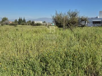 Lotes y Terrenos Colina | venta | Condominio Polo Manquehue I No perimetral Chicureo: CLF 8900.00