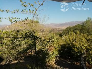 Lotes y Terrenos Colina | venta | Parcela en arriendo en Colina: CLP 1500. 00