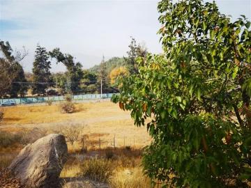 Lotes y Terrenos Colina | venta | Parcela en venta Cerro La Pava, Chicureo: CLF 7500.00