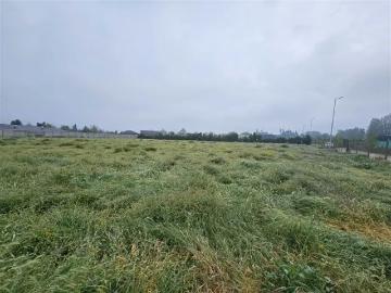 Lotes y Terrenos Colina | venta | Sitio en Venta en Colina: CLF 6500.00