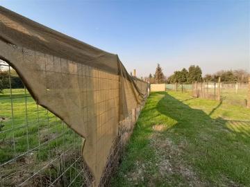 Lotes y Terrenos Colina | venta | Sitio en arriendo en Colina: CLP 1600. 00