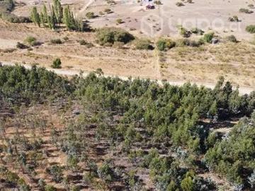 Lotes y Terrenos Concepción | venta | Agroparcela Laja: CLP 13000. 00