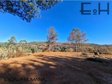 Lotes y Terrenos Concepción | venta | lotes sector semi urbano cercano a Chaimávida: CLP 37000. 00