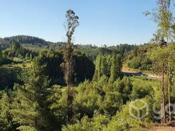 Lotes y Terrenos Concepción | venta | Sitios exclusivos en loteo residencial, 2000 mts2: CLF 1950.00