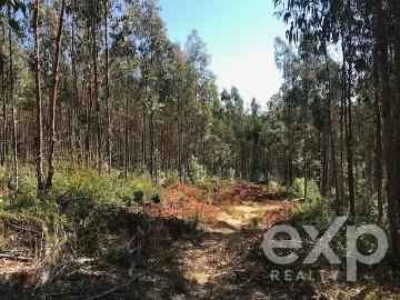 Lotes y Terrenos Constitución | venta | Sitio en venta en Constitución: CLF 5000.00