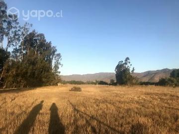 Lotes y Terrenos Coquimbo | venta | Parcela de Agrado en Pan de Azucar con agua y luz: CLF 1900.00