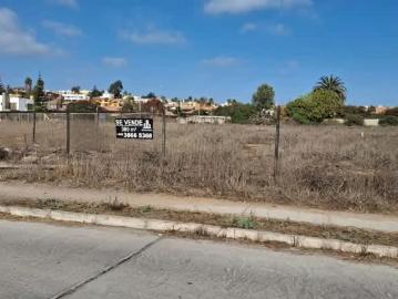 Lotes y Terrenos Coquimbo | venta | Sitio AUGUSTO DHALMAR CON AV. Amanecer: clf 3400.00