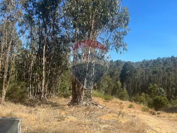 Lotes y Terrenos El Quisco | venta | Parcela con agua y luz en el totoral: CLF 2200.00