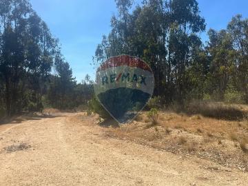 Lotes y Terrenos El Quisco | venta | Parcela con agua y luz en el totoral: CLF 2500.00